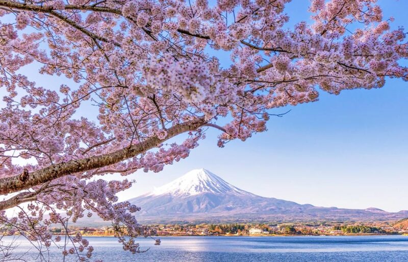 Tokyo: Mount Fuji, Kawaguchi Lake, Oshino Hakkai 1-Day Trip - Itinerary Details