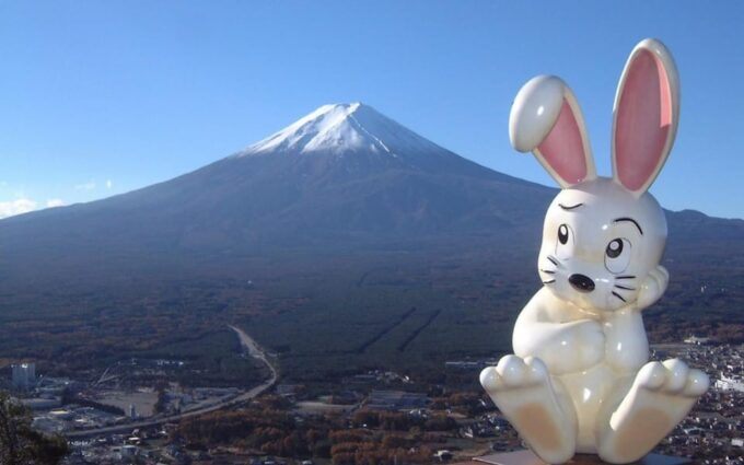 Tokyo: Mount Fuji Kawaguchiko Ropeway Sightseeing Day Tour - Drop-off Locations