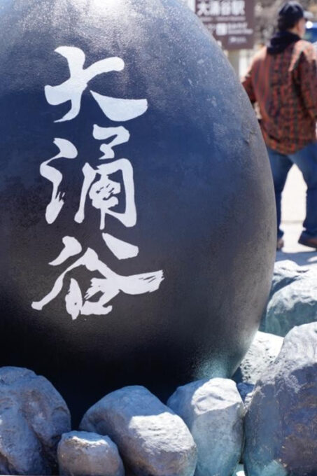 Tokyo: Mount Fuji Lake Ashi Cruise One Day Tour - Inclusions and Restrictions