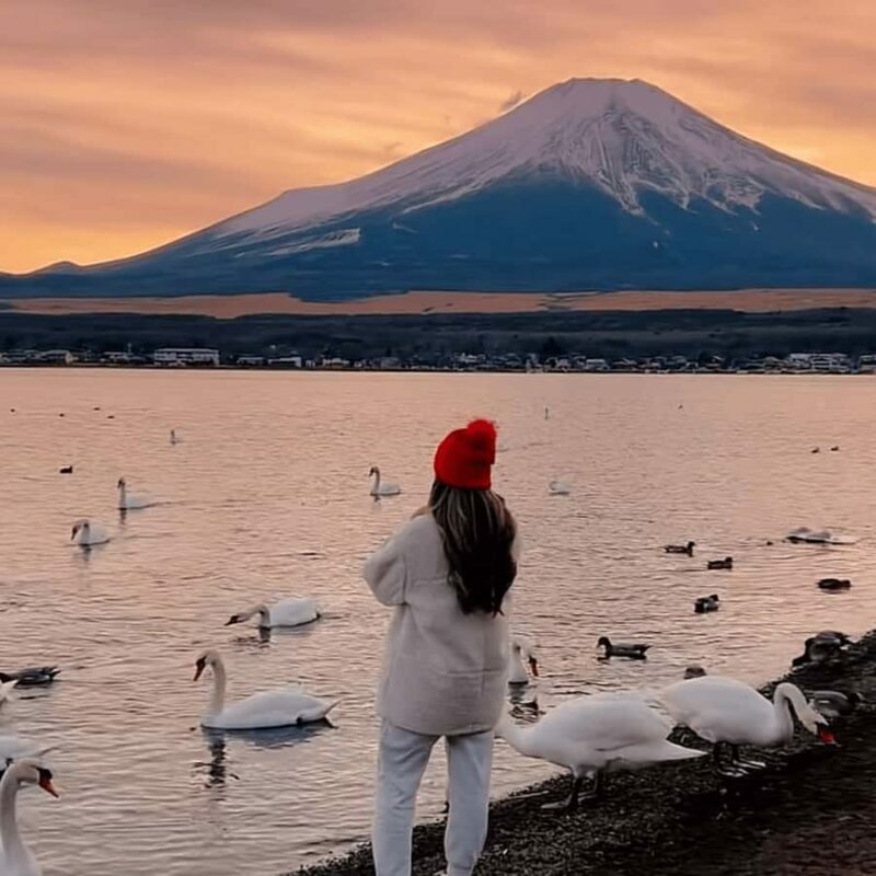 Tokyo: Mount Fuji Must See Private Tour Adjustable Itinerary - The Itinerary: What to Expect on Your Day