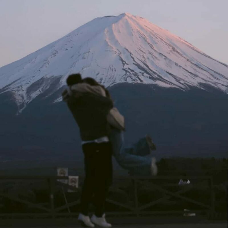 Tokyo: Mount Fuji Must See Private Tour Adjustable Itinerary - The Sum Up: Who Is This Tour Best For?