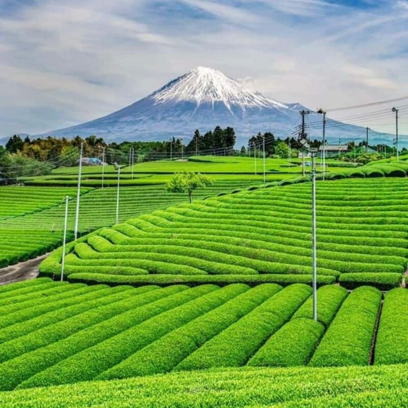 Tokyo: Mount Fuji Must See Private Tour Adjustable Itinerary - FAQ