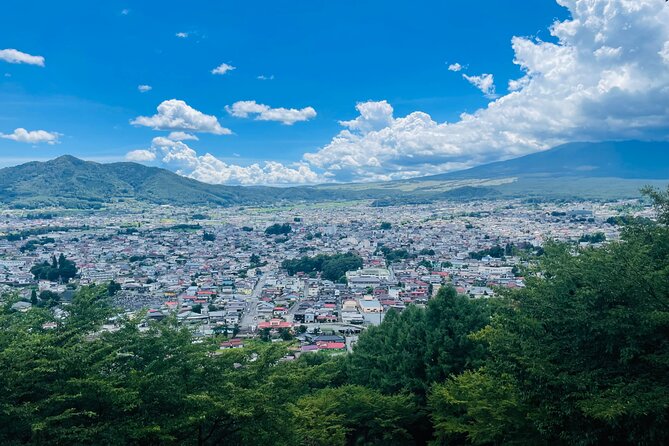 Tokyo: Mount Fuji One Day Private Tour by Car With English Guide - Pickup and Meeting Details