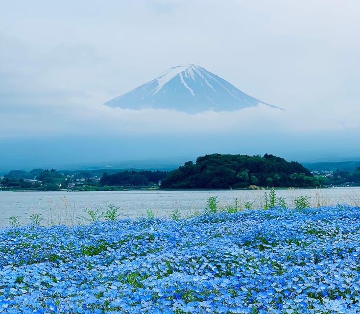 Tokyo: Mount Fuji or Hakone Customized Private Full-Day Trip - Included Services