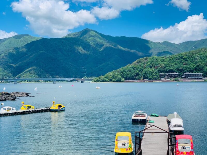 Tokyo: Mount Fuji or Hakone Customized Private Full-Day Trip - Pricing