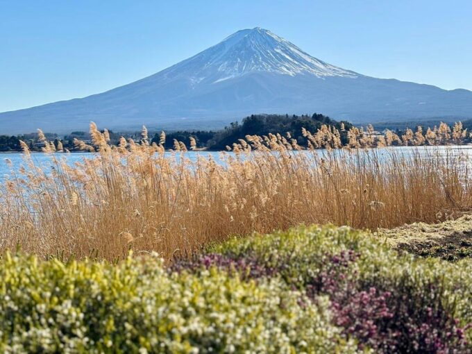 Tokyo: Mount Fuji or Hakone Customized Private Full-Day Trip - Duration and Language