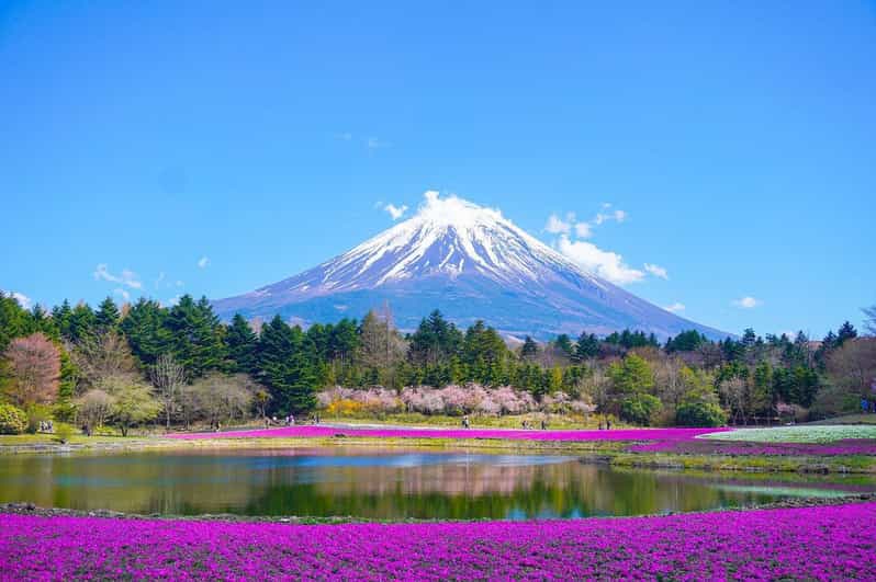 Tokyo: Mount Fuji or Hakone Customized Private Full-Day Trip - Key Points
