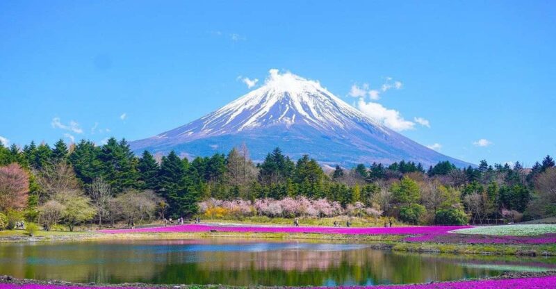 Tokyo: Mount Fuji or Hakone Customized Private Full-Day Trip - Itinerary Options