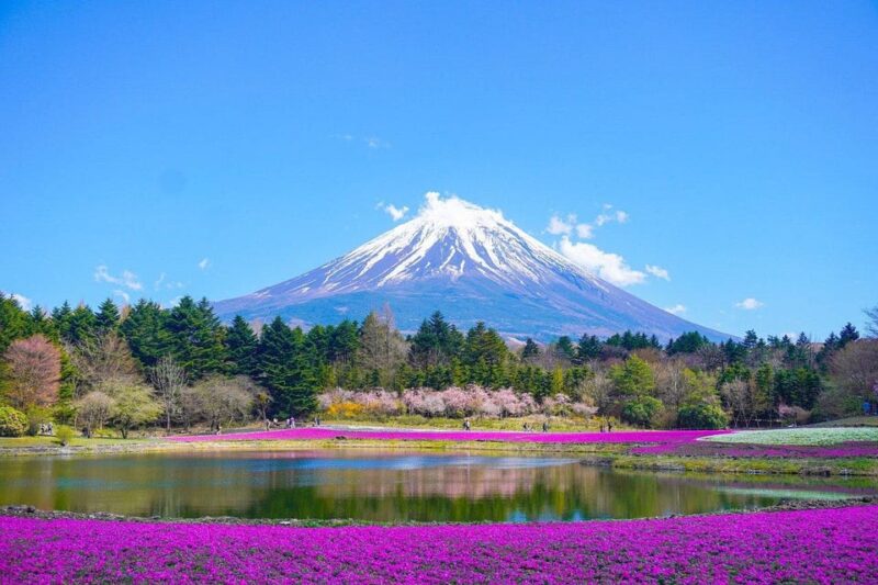 Tokyo: Mount Fuji or Hakone Customized Private Full-Day Trip - Mount Fuji Viewpoints