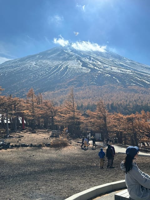 Tokyo: Mount Fuji or Hakone Customized Private Full-Day Trip - Gotemba Premium Outlets