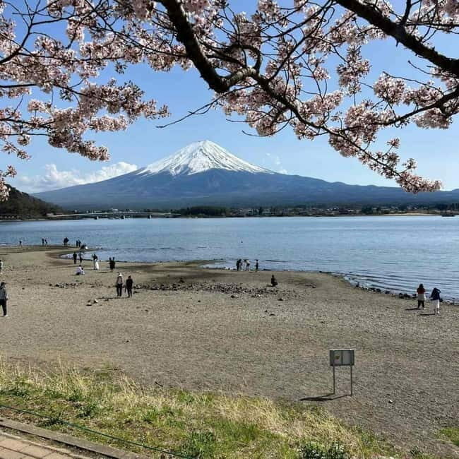 Tokyo: Mount Fuji Private Day Tour With Low Price Guarantee - Key Points