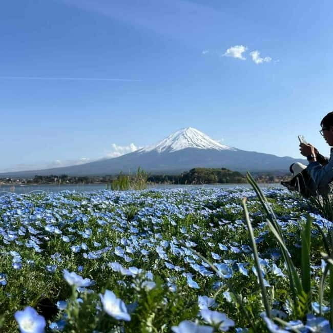 Tokyo: Mount Fuji Private Day Tour With Low Price Guarantee - FAQ