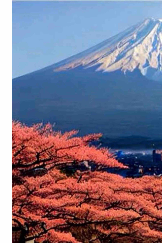 Tokyo: Mount Fuji Private Tour With English-Speaking Driver - Itinerary Highlights