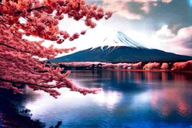 Tokyo: Mount Fuji Private Tour With English-Speaking Driver - Included Services