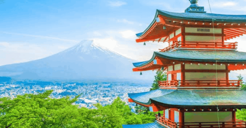 Tokyo: Mount Fuji Private Tour With English-Speaking Driver - Additional Information