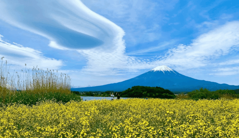 Tokyo: Mount Fuji Sightseeing Tour English Speaking Driver - Transportation and Accessibility