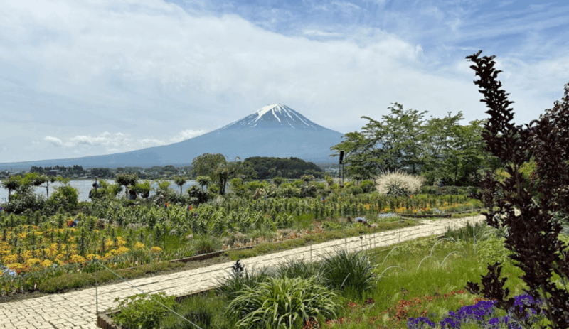 Tokyo: Mount Fuji Sightseeing Tour English Speaking Driver - Customer Review