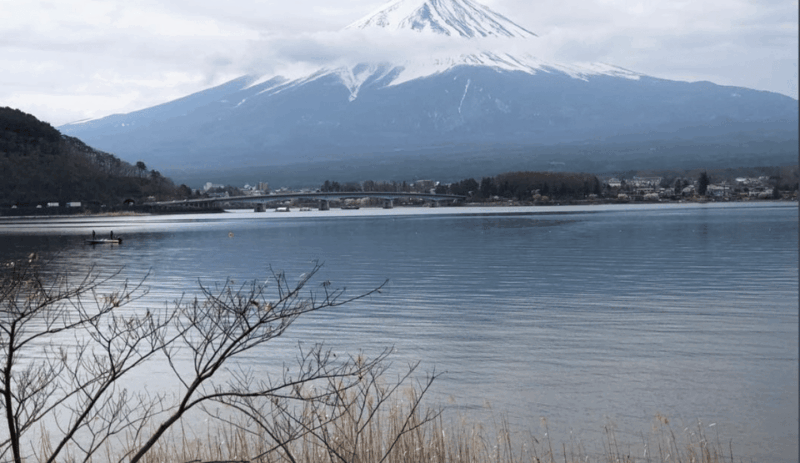 Tokyo: Mount Fuji Sightseeing Tour English Speaking Driver - Booking and Cancellation Policy