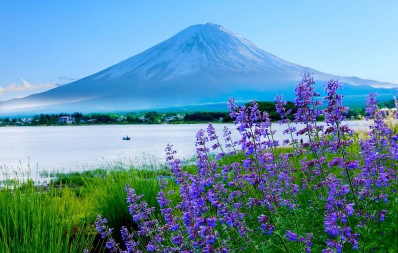 Tokyo: Mount Fuji Stunning Scenic Views & Cultural Adventure - Pickup and Drop-off Locations