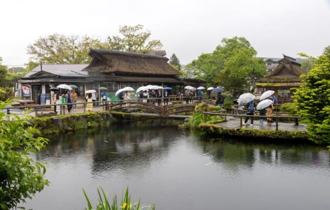 Tokyo: Mount Fuji Stunning Scenic Views & Cultural Adventure - FAQ