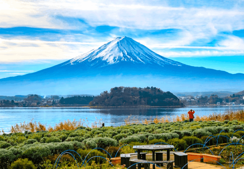 Tokyo: Mount Fuji Tour and Hakone English Guided Day Trip - Experience on the Tour