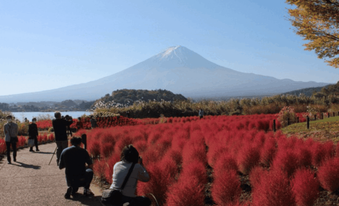 Tokyo: Mount Fuji Tour With English-Speaking Guide - Important Information