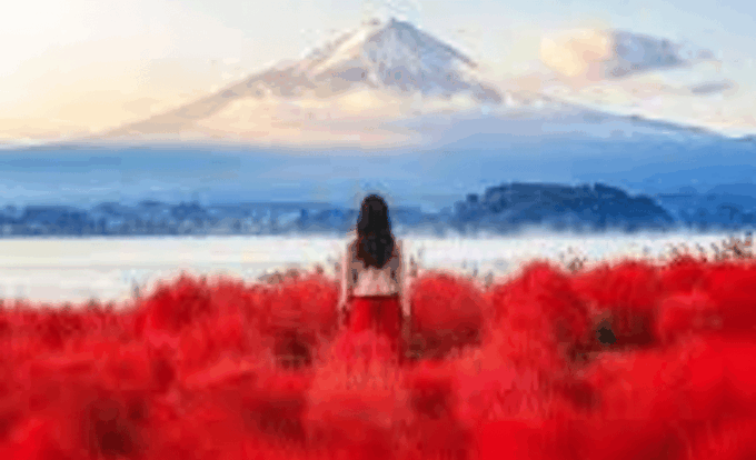 Tokyo: Mount Fuji Tour With English-Speaking Guide - FAQ