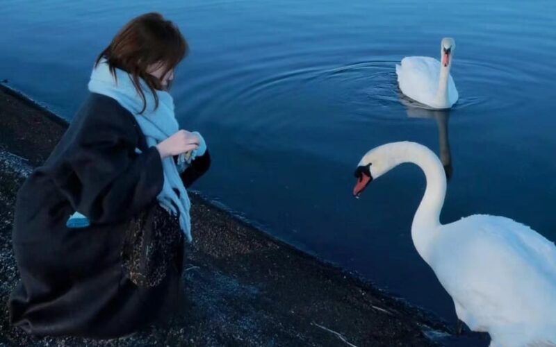Tokyo: Mount Fuji Views & KABA Amphibious Bus Day Tour (OPT) - Oishi Park Exploration