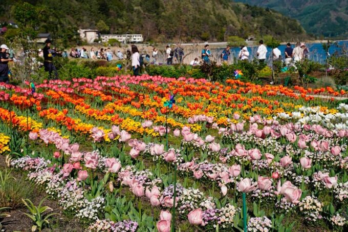 Tokyo: Mount Fuji Views & KABA Amphibious Bus Day Tour (OPT) - Tour Inclusions