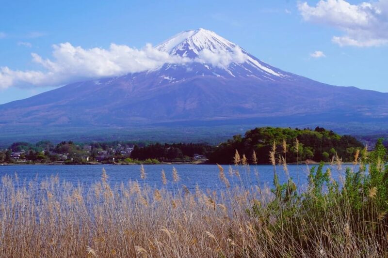 Tokyo: Mount Fuji Views & KABA Amphibious Bus Day Tour (OPT) - Meeting Points and Transportation
