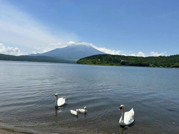 Tokyo: Mount Fuji Views & KABA Amphibious Bus Day Tour (OPT) - Whats Included