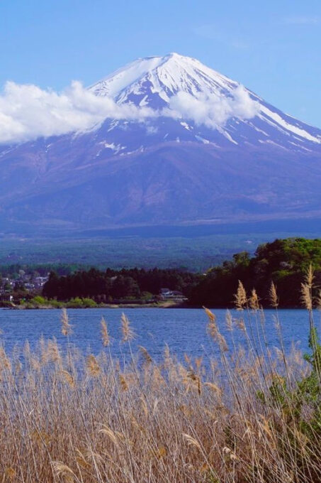Tokyo: Mount Fuji Views & KABA Amphibious Bus Day Tour (OPT) - Frequently Asked Questions