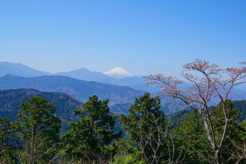 Tokyo: Mount Takao Guided Hiking Tour - Key Points