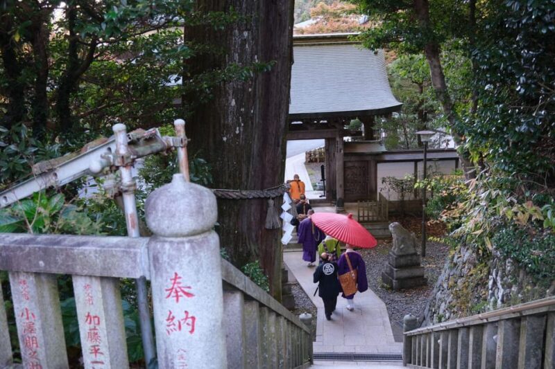Tokyo: Mount Takao Guided Hiking Tour - Itinerary Highlights