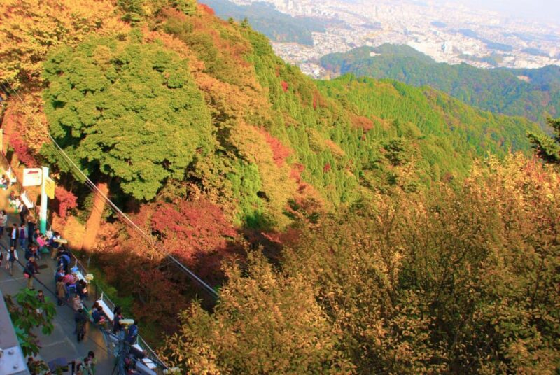 Tokyo: Mount Takao Guided Hiking Tour - Meeting Point and Logistics