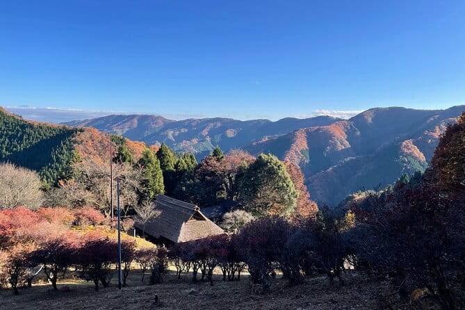 Tokyo Mountain History and Culture Eco Tour - Key Points