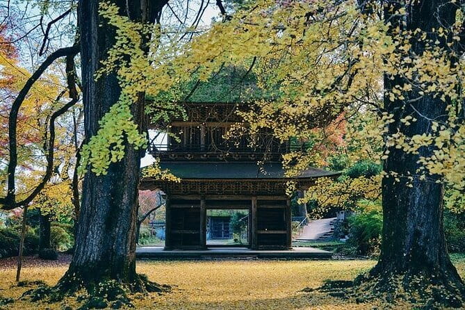Tokyo Mountain History and Culture Eco Tour - Inclusions