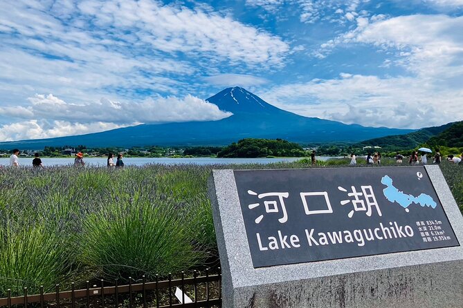Tokyo: Mt.Fuji 5th Station, Fuji Area & Kawaguchiko 1Day Tour - Meeting and Drop-off Information