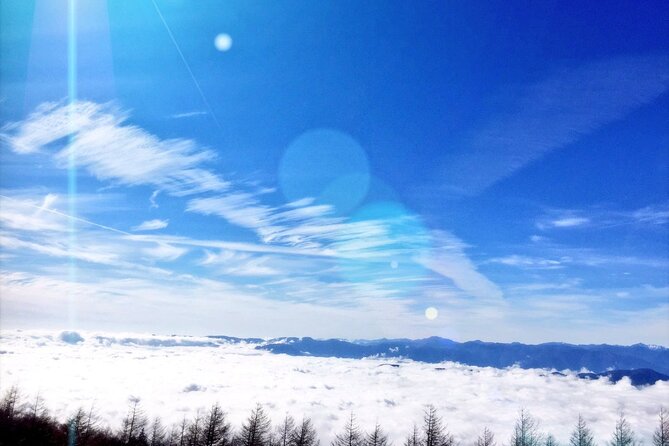 Tokyo: Mt.Fuji 5th Station, Fuji Area & Kawaguchiko 1Day Tour - Contact Information