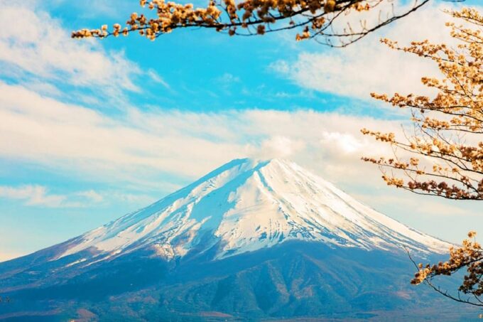 Tokyo: Mt. Fuji 5th Station, Oshino Hakkai, Hot Spring 1-Day Trip - Important Information: Minors, Seasonal Adjustments, Tour Guide