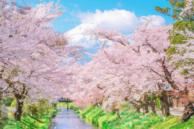 Tokyo: Mt. Fuji 5th Station, Oshino Hakkai, Hot Spring 1-Day Trip - Tour Logistics: Itinerary, Weather, Road Conditions
