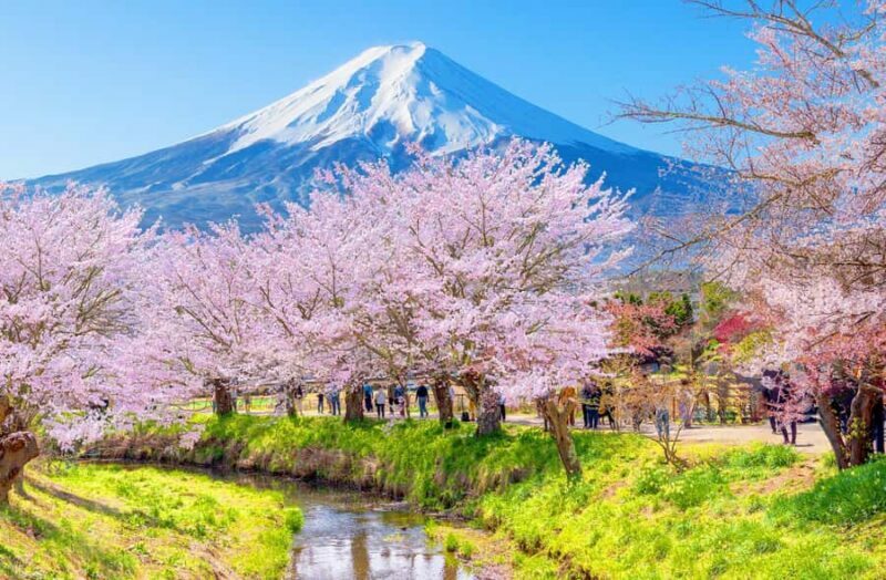 Tokyo: Mt Fuji 6 Spots Tour, Lake Yamanaka, Lake Kawaguchi - Introduction