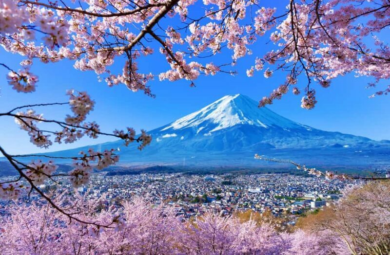 Tokyo: Mt Fuji 6 Spots Tour, Lake Yamanaka, Lake Kawaguchi - The Itinerary in Detail