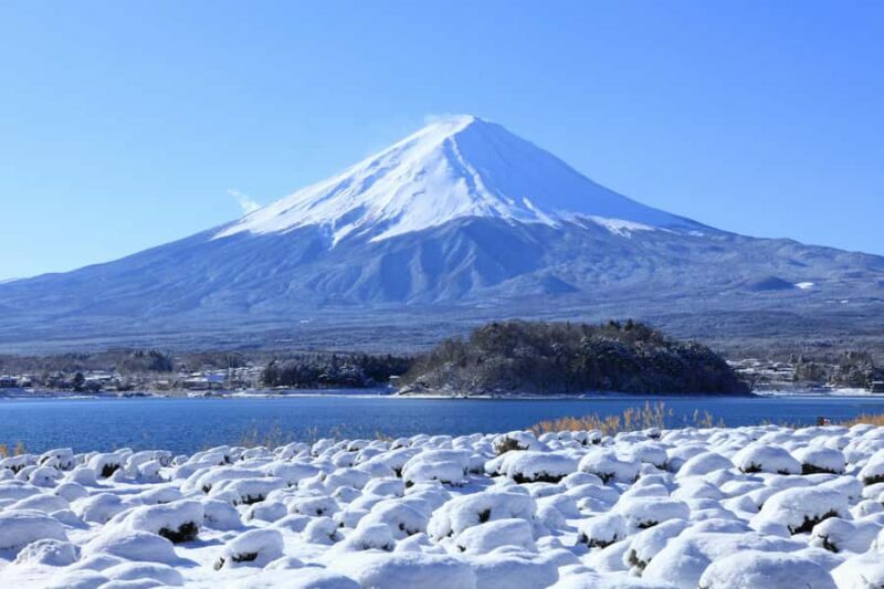 Tokyo: Mt Fuji 6 Spots Tour, Lake Yamanaka, Lake Kawaguchi - The Value of This Tour