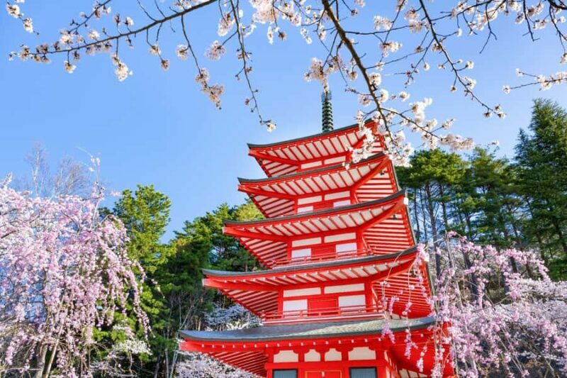 Tokyo: Mt Fuji 6 Spots Tour, Lake Yamanaka, Lake Kawaguchi - Who Should Consider This Tour?