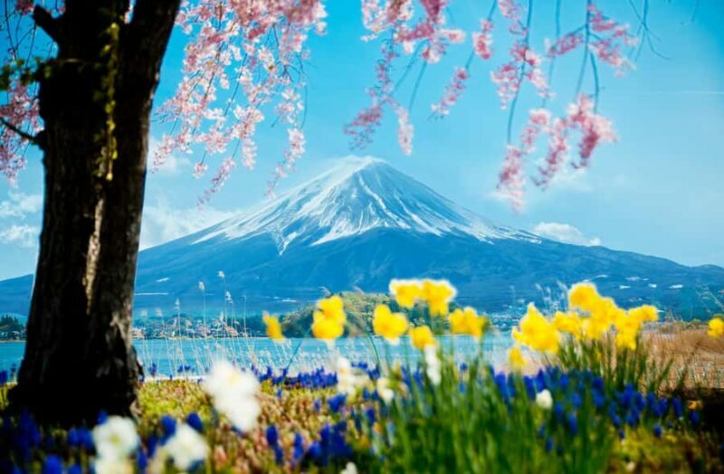 Tokyo: Mt Fuji 6 Spots Tour, Lake Yamanaka, Lake Kawaguchi - Final Thoughts