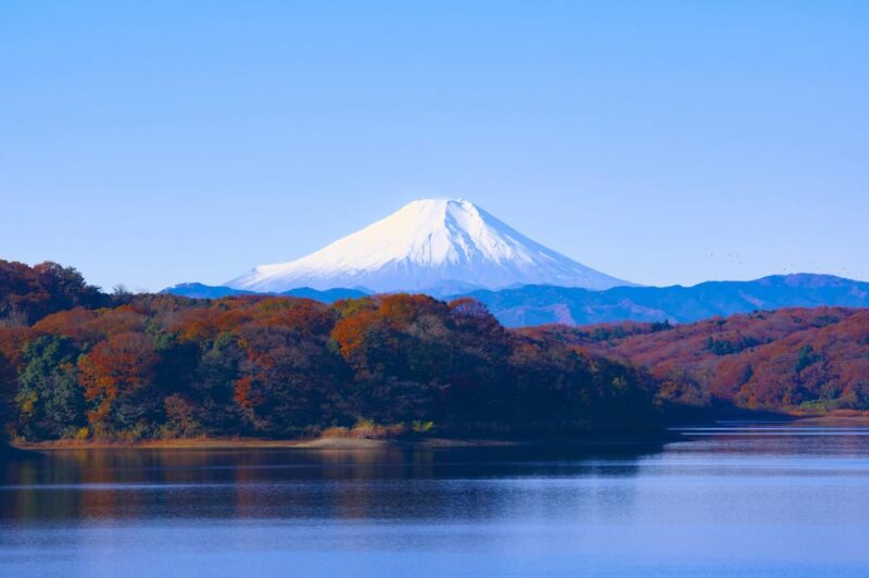Tokyo: Mt. Fuji and Hakone Day Trip With Lake Ashinoko - Itinerary Highlights