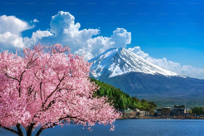 Tokyo: Mt. Fuji and Hakone Day Trip With Lake Ashinoko - Transportation and Inclusions