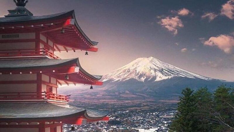 Tokyo: Mt Fuji and Hakone Full Day Private Sightseeing Tour - Transportation and Accessibility