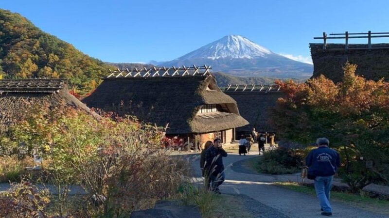 Tokyo: Mt Fuji and Hakone Full Day Private Sightseeing Tour - Guidance and Language
